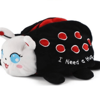 FX Raffle 2023 – Fundraiser